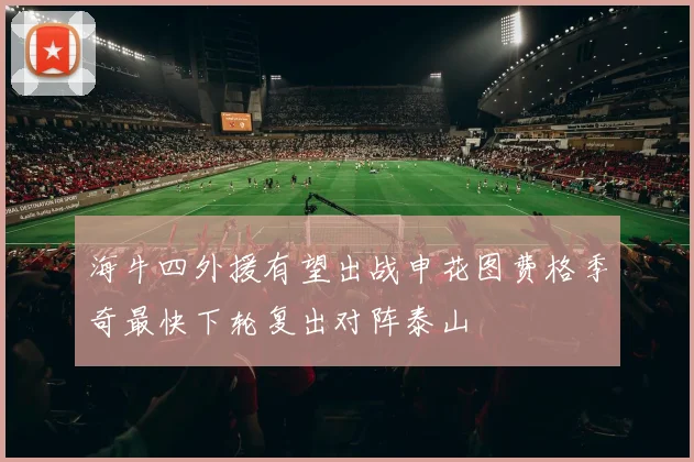 海牛四外援有望出战申花图费格季奇最快下轮复出对阵泰山